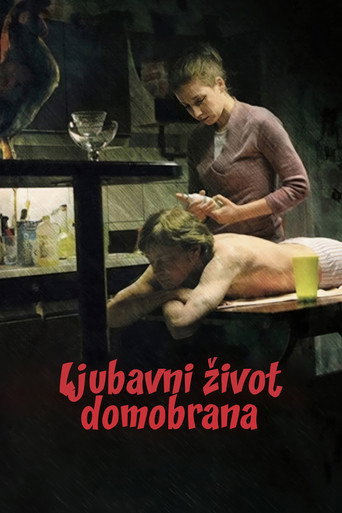 Póster de Ljubavni život domobrana
