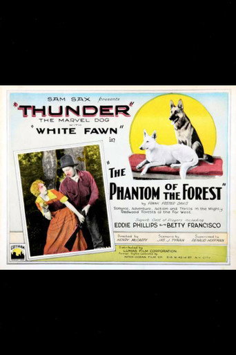 Póster de The Phantom of the Forest