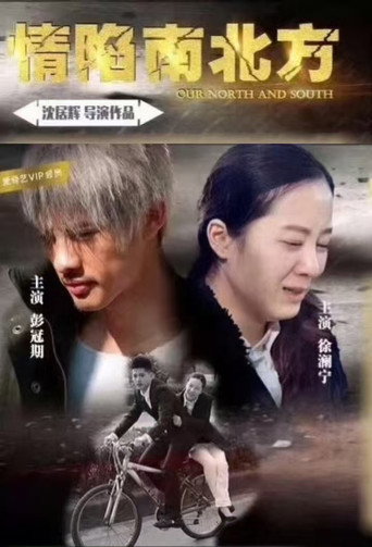 Póster de 情陷南北方