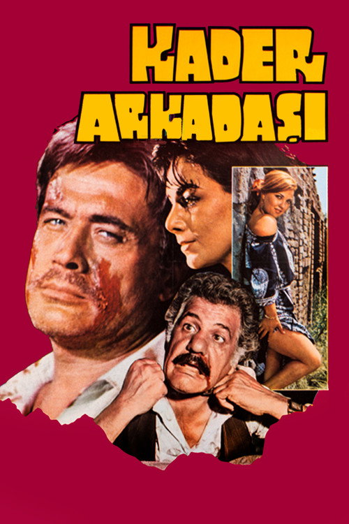 Póster de Kader Arkadaşı