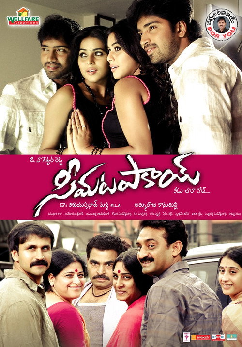 Póster de సీమ టపాకాయ్