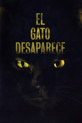 Póster de El gato desaparece