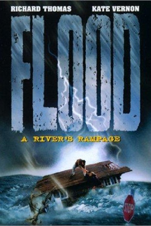 Póster de Flood: A River's Rampage