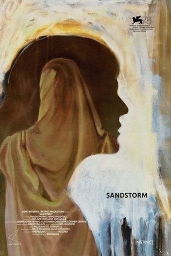 Póster de ملاقات