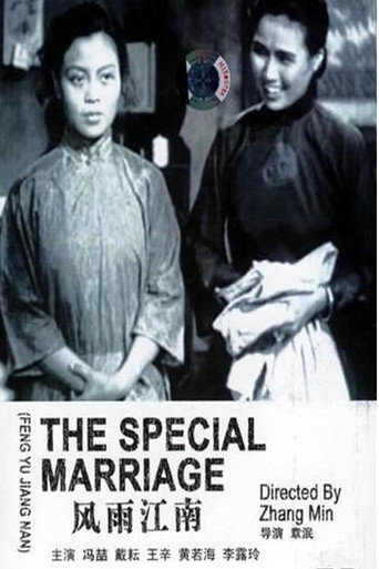 Póster de 风雨江南