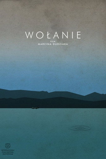 Póster de Wołanie