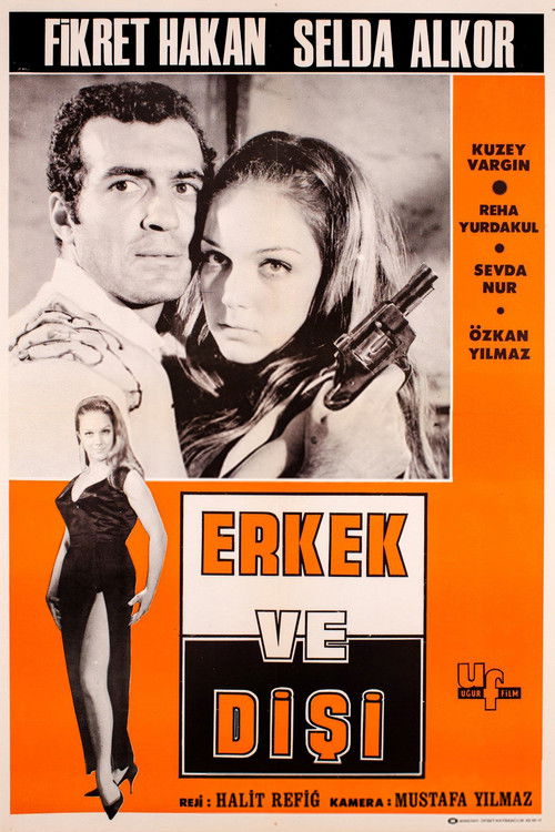 Póster de Erkek ve Dişi
