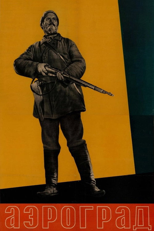 Póster de Аэроград