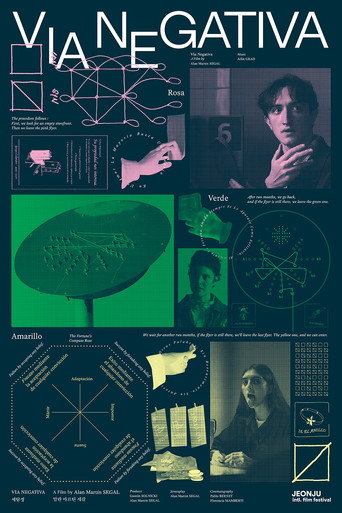 Póster de Vía negativa