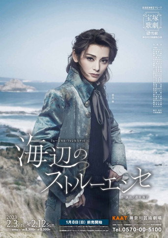 Póster de 海辺のストルーエンセ