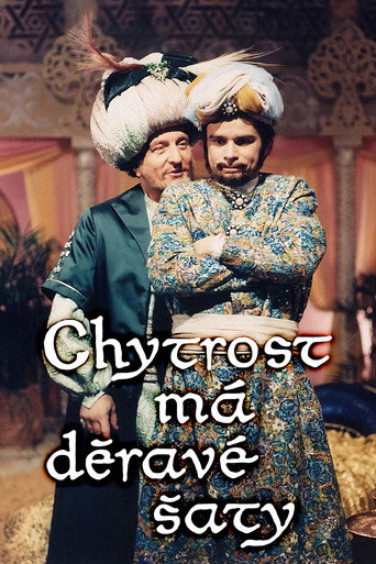 Póster de Chytrost má děravé šaty