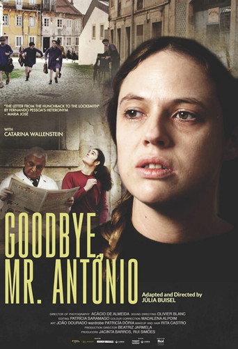 Póster de Adeus Senhor António