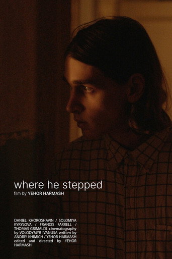 Póster de where he stepped