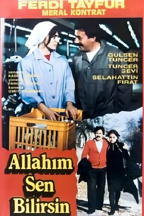 Póster de Allahım Sen Bilirsin
