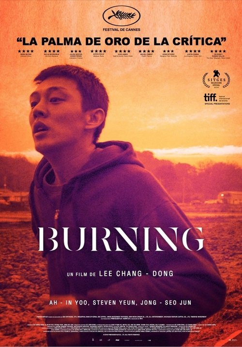 Póster de Burning