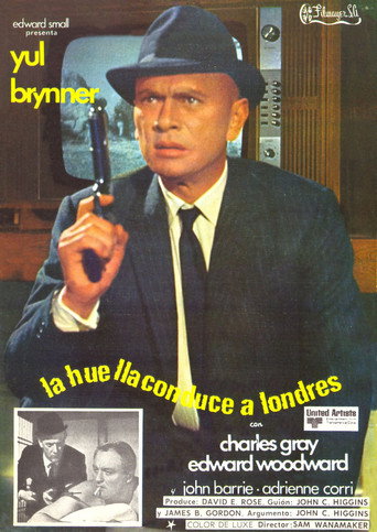 Póster de The File of the Golden Goose