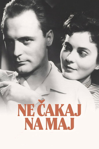 Póster de Ne čakaj na maj
