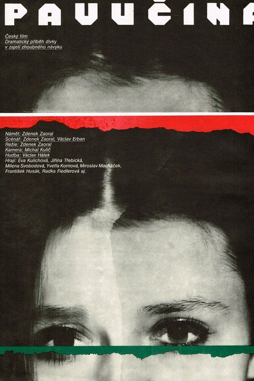 Póster de Pavučina