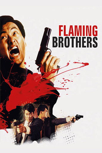 Póster de Flaming Brothers