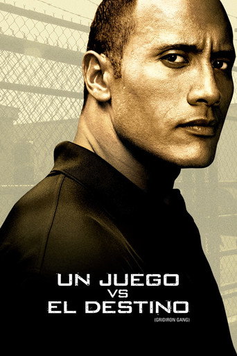 Póster de Un juego vs. el destino