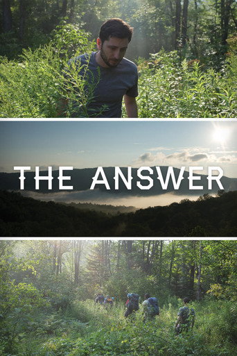 Póster de The Answer
