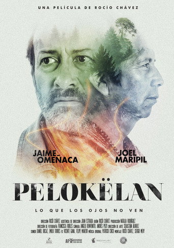 Póster de Pelokëlan