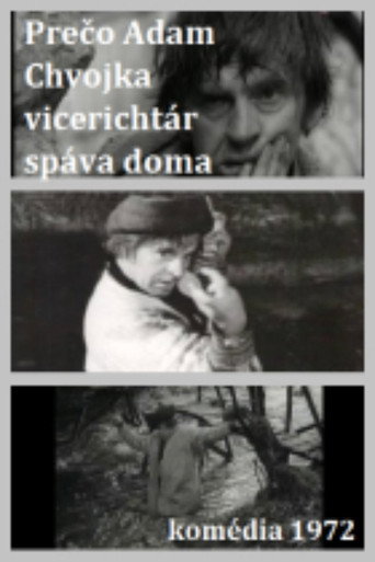 Póster de Adam Chvojka vicerichtár