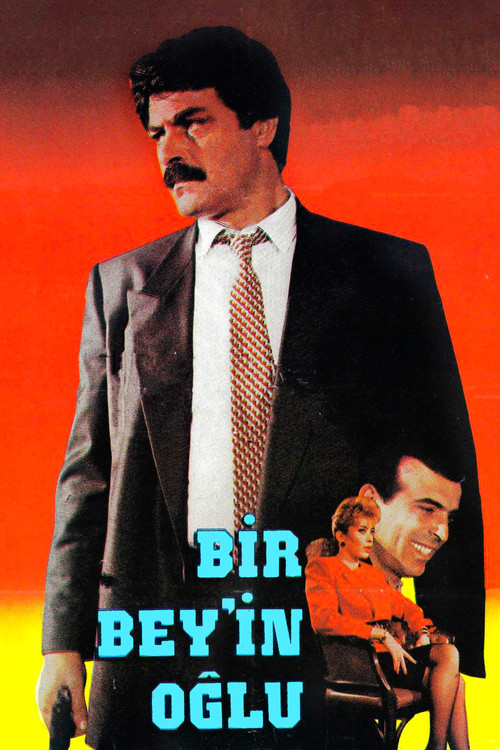 Póster de Bir Bey'in Oğlu