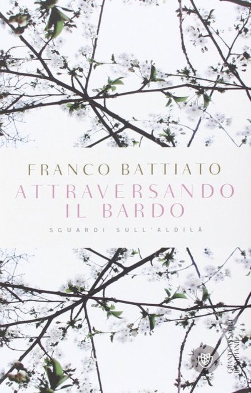 Póster de Attraversando il Bardo: Sguardi sull'Aldilà