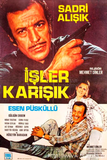Póster de İşler Karışık