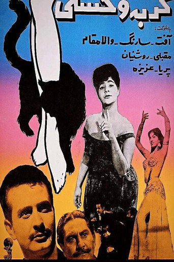 Póster de گربه وحشی
