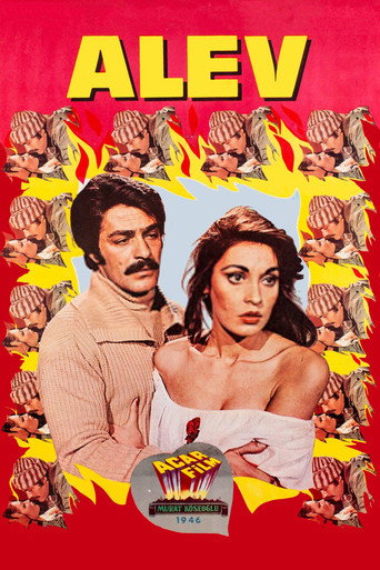 Póster de Alev