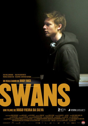 Póster de Swans