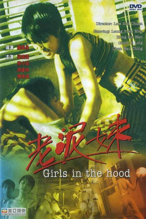 Póster de 老泥妹