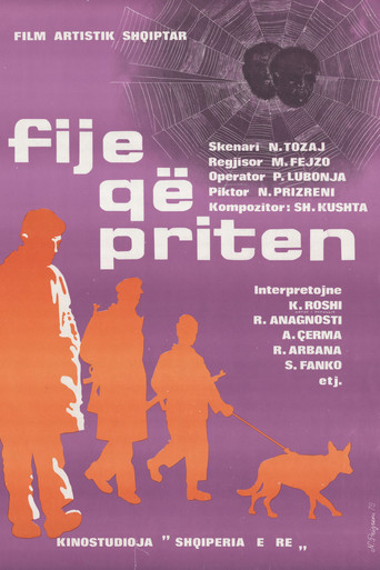 Póster de Fije që priten