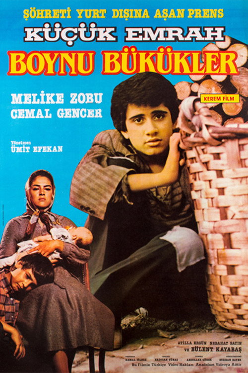 Póster de Boynu Bükükler