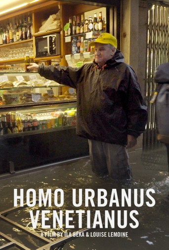 Póster de Homo Urbanus Venetianus