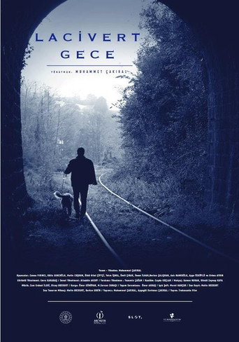 Póster de Lacivert Gece