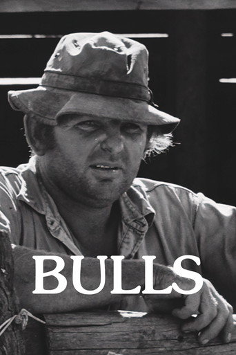 Póster de Bulls