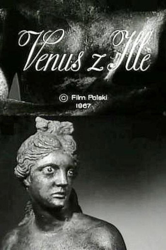 Póster de Wenus z Ille