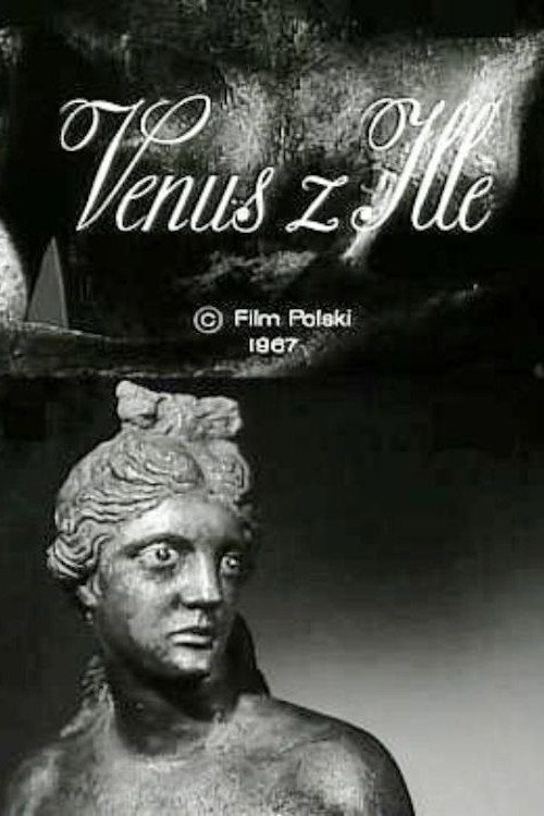 Póster de Wenus z Ille