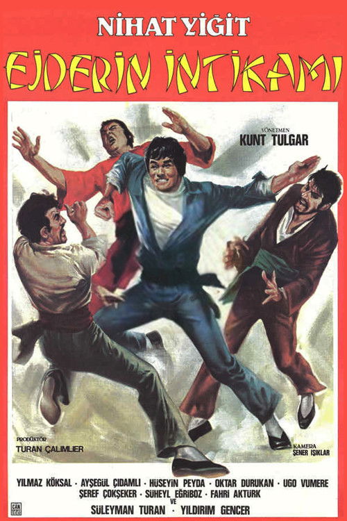Póster de Ejderin İntikamı