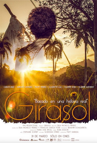 Póster de Girasol
