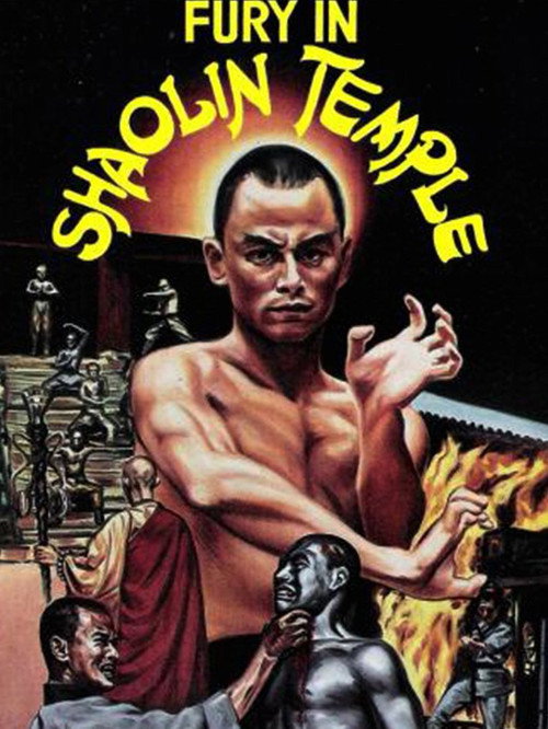 Póster de 天下功夫出少林