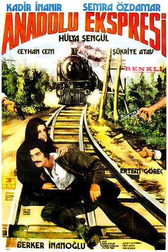 Póster de Anadolu Ekspresi