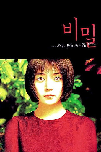 Póster de Secret Tears