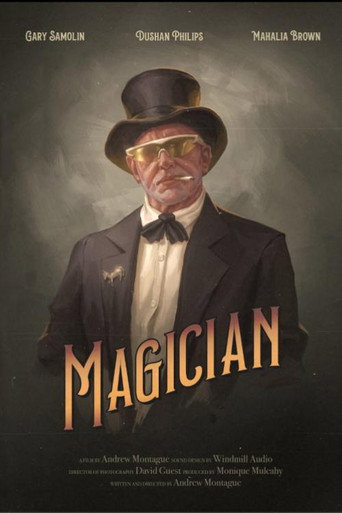 Póster de Magician