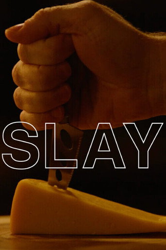 Póster de Slay