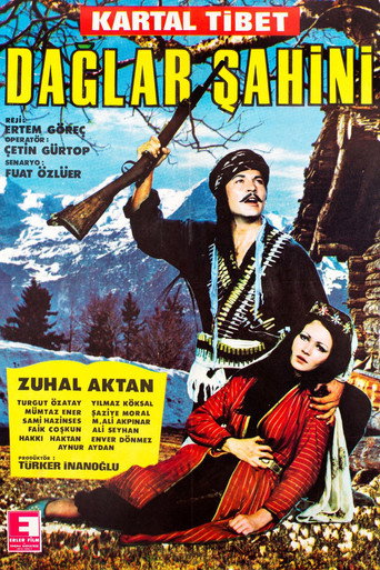 Póster de Dağlar Şahini
