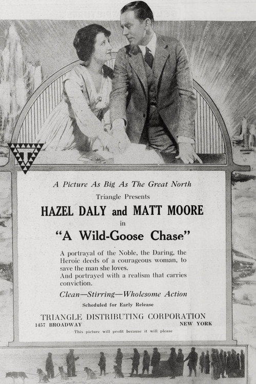 Póster de A Wild Goose Chase